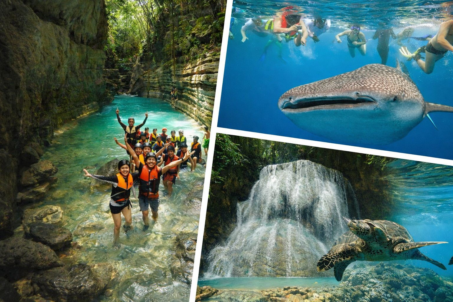 китовые акулы водопады каньонинг черепахи сардины