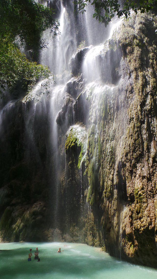 Водопад находится в окружении джунглей