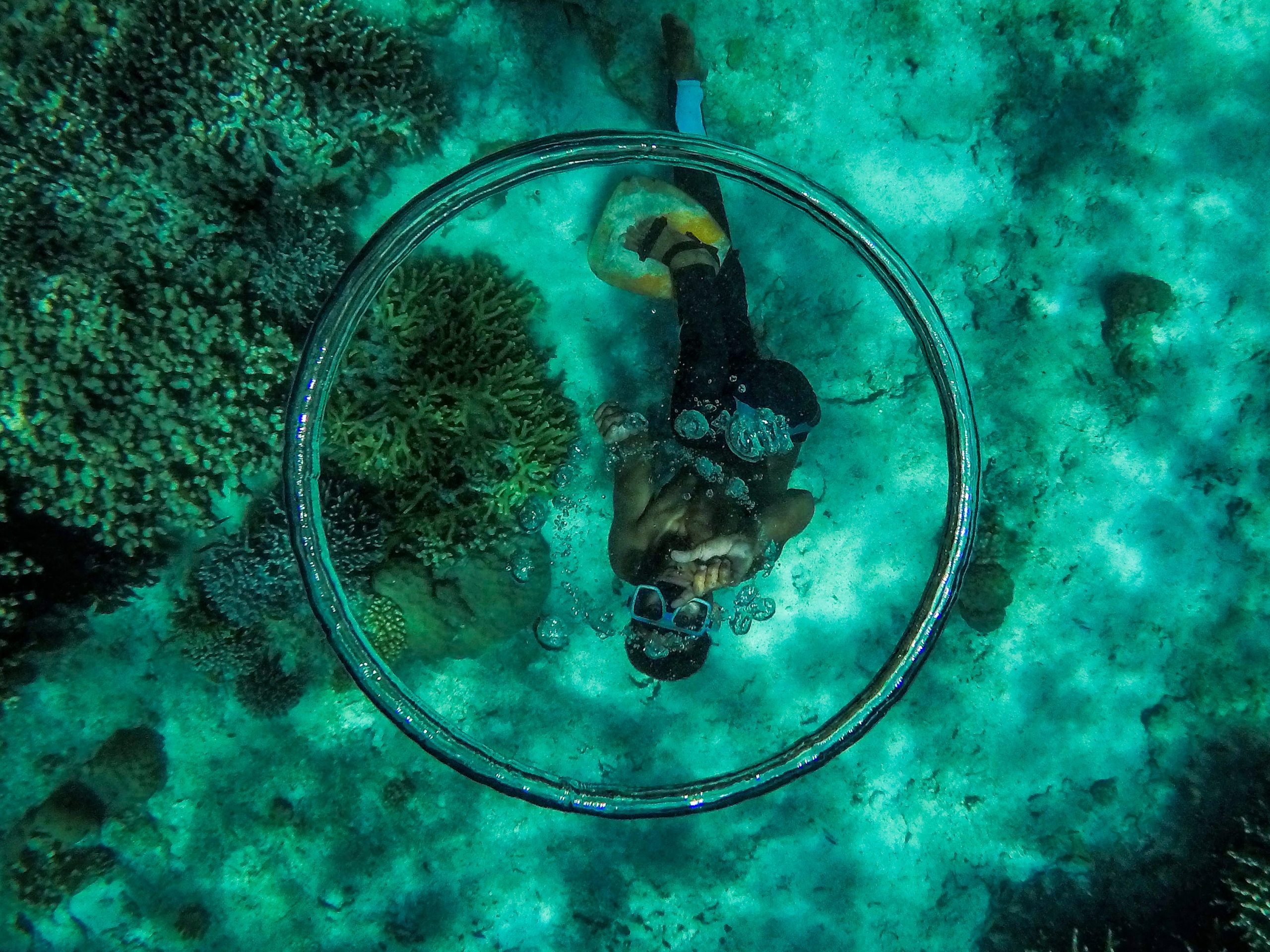 сардины на Панглао